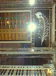 one of Liberace's mirror tiled pianos