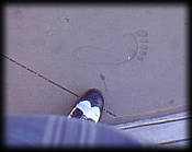 cement footprints at Ron Jon's