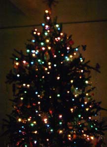 lauren_tree_lights