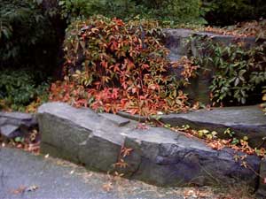 stone bench