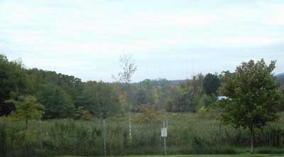 foliage in Rockland County