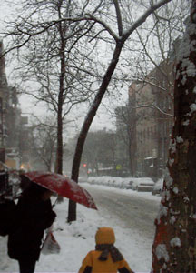 Snow on St. Mark's Place trees