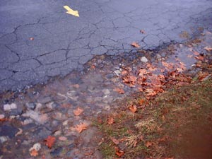 Green-Wood:  gutters