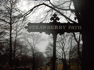 Green-Wood:  Strawberry Path